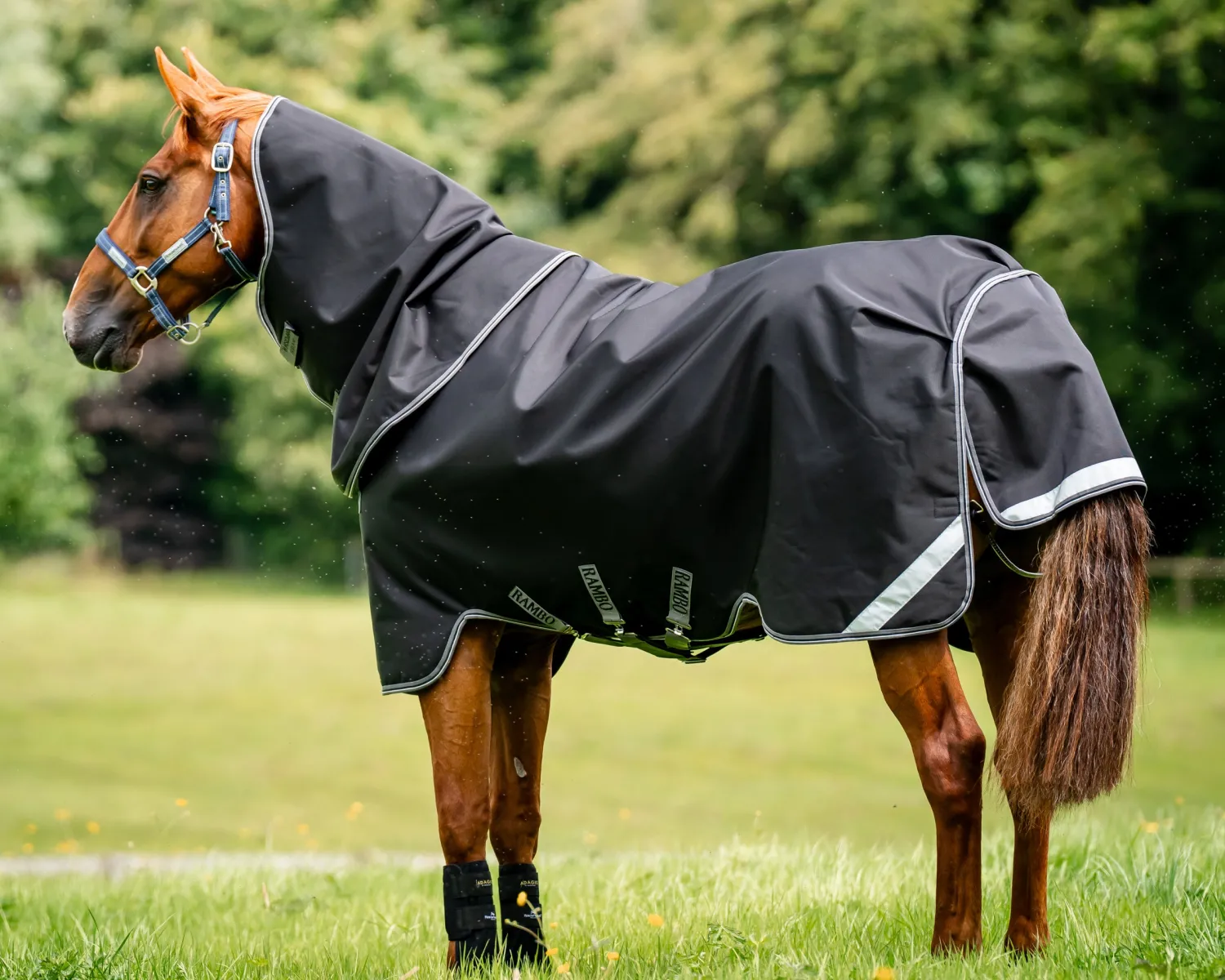 Discount HORSEWARE ® Ireland Rambo® 1680D Vari-Layer Plus Heavy Turnout–450g