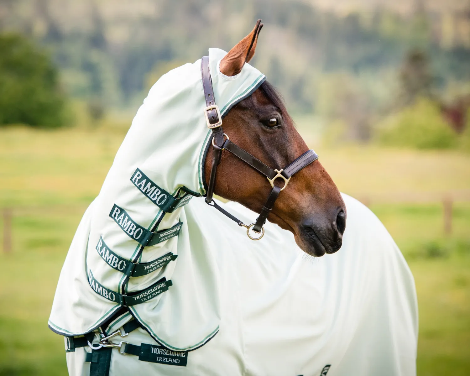 Clearance HORSEWARE ® Ireland Rambo® Hoodie