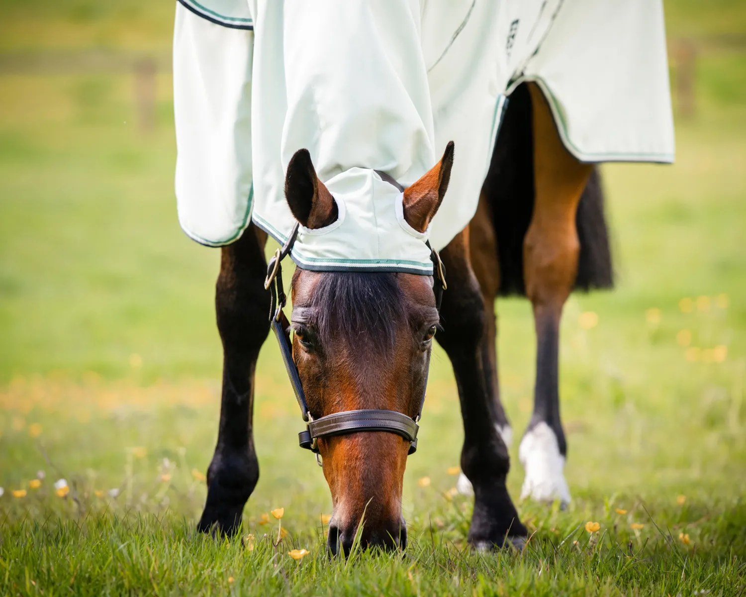 Clearance HORSEWARE ® Ireland Rambo® Hoodie