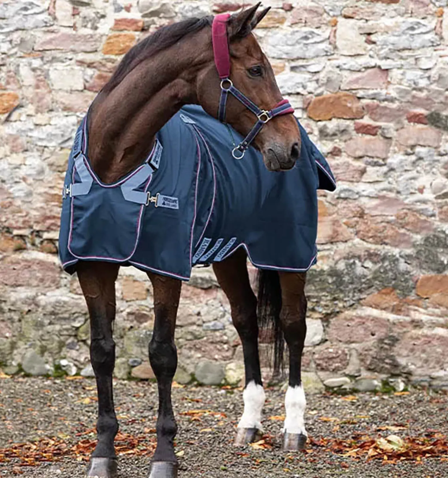 Clearance HORSEWARE ® Ireland Rambo® Optimo Stable Sheet