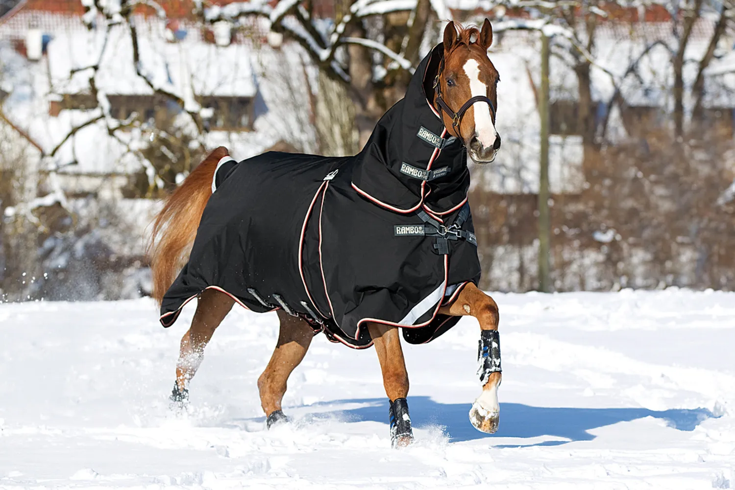 Online HORSEWARE ® Ireland Rambo® Optimo Turnout Blanket