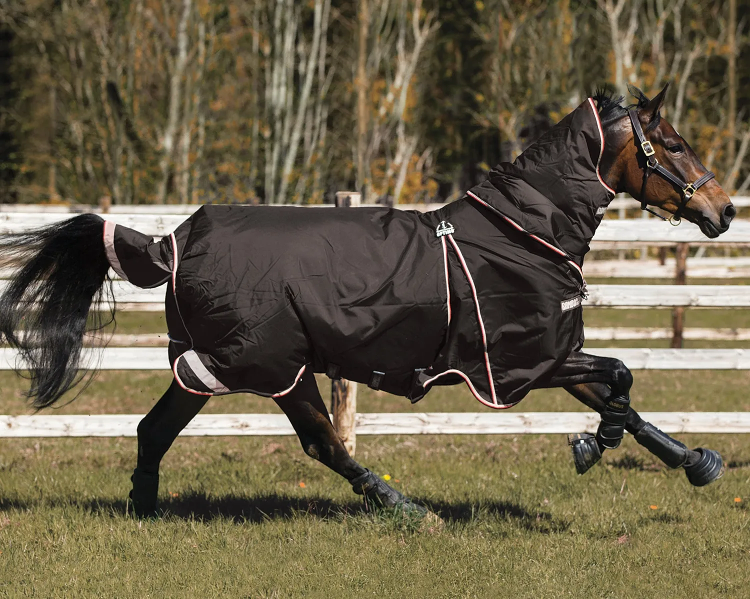 Online HORSEWARE ® Ireland Rambo® Optimo Turnout Blanket