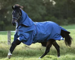 Online HORSEWARE ® Ireland Rambo® Optimo Turnout Blanket