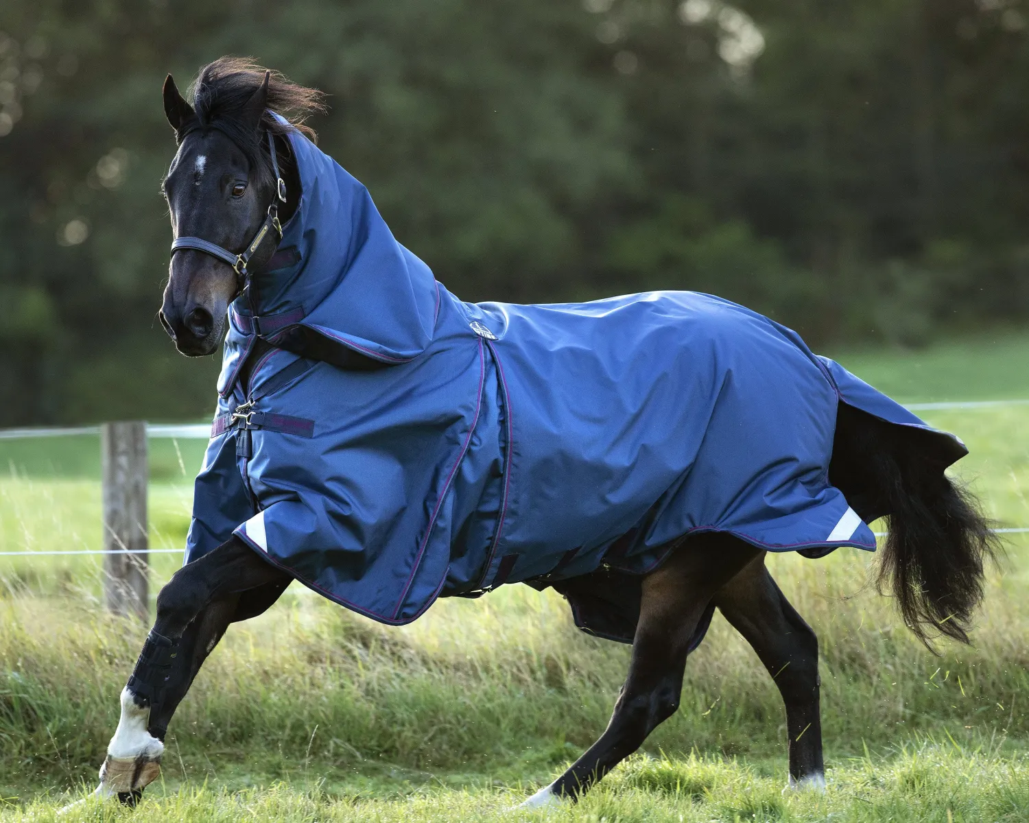 Online HORSEWARE ® Ireland Rambo® Optimo Turnout Blanket