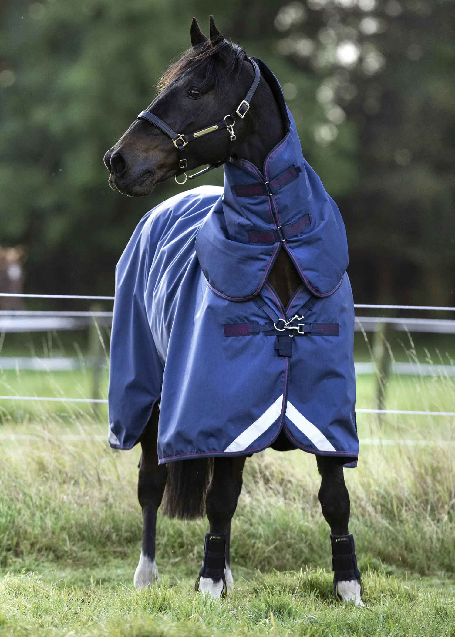 Online HORSEWARE ® Ireland Rambo® Optimo Turnout Blanket