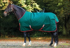 Online HORSEWARE ® Ireland Rambo® Original 1000D Heavyweight Turnout–400G Green/Red