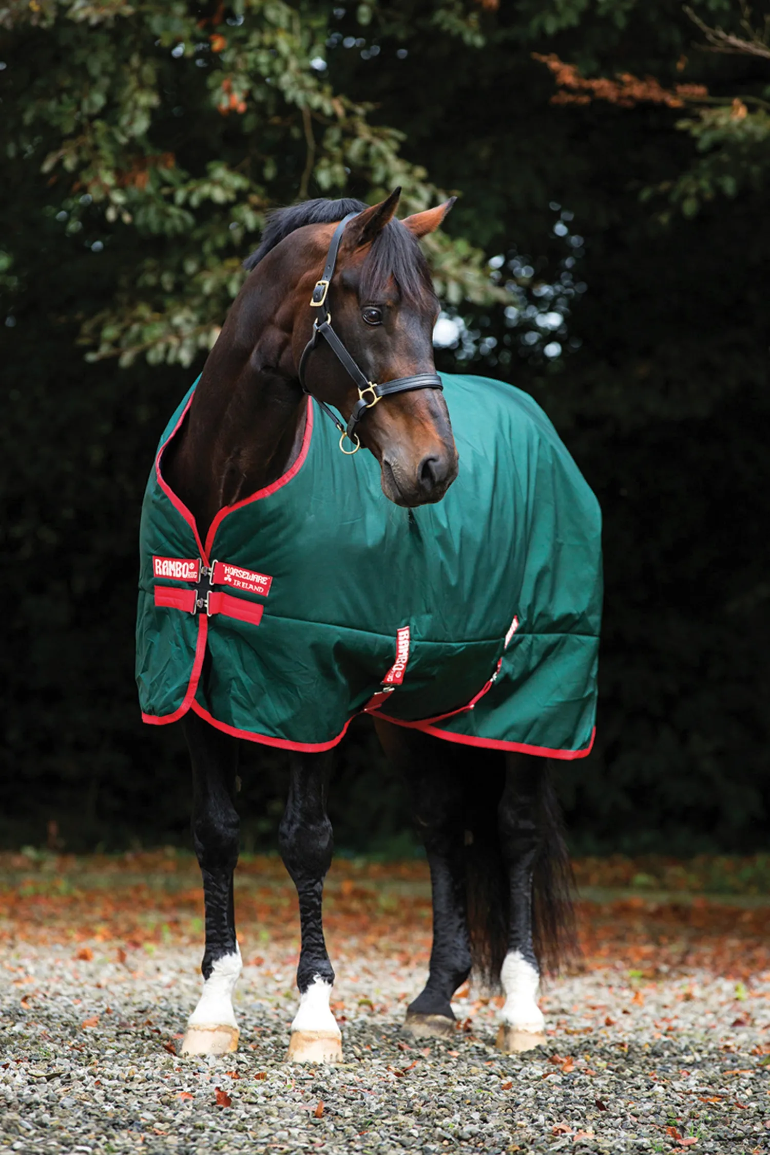 Online HORSEWARE ® Ireland Rambo® Original 1000D Heavyweight Turnout–400G Green/Red