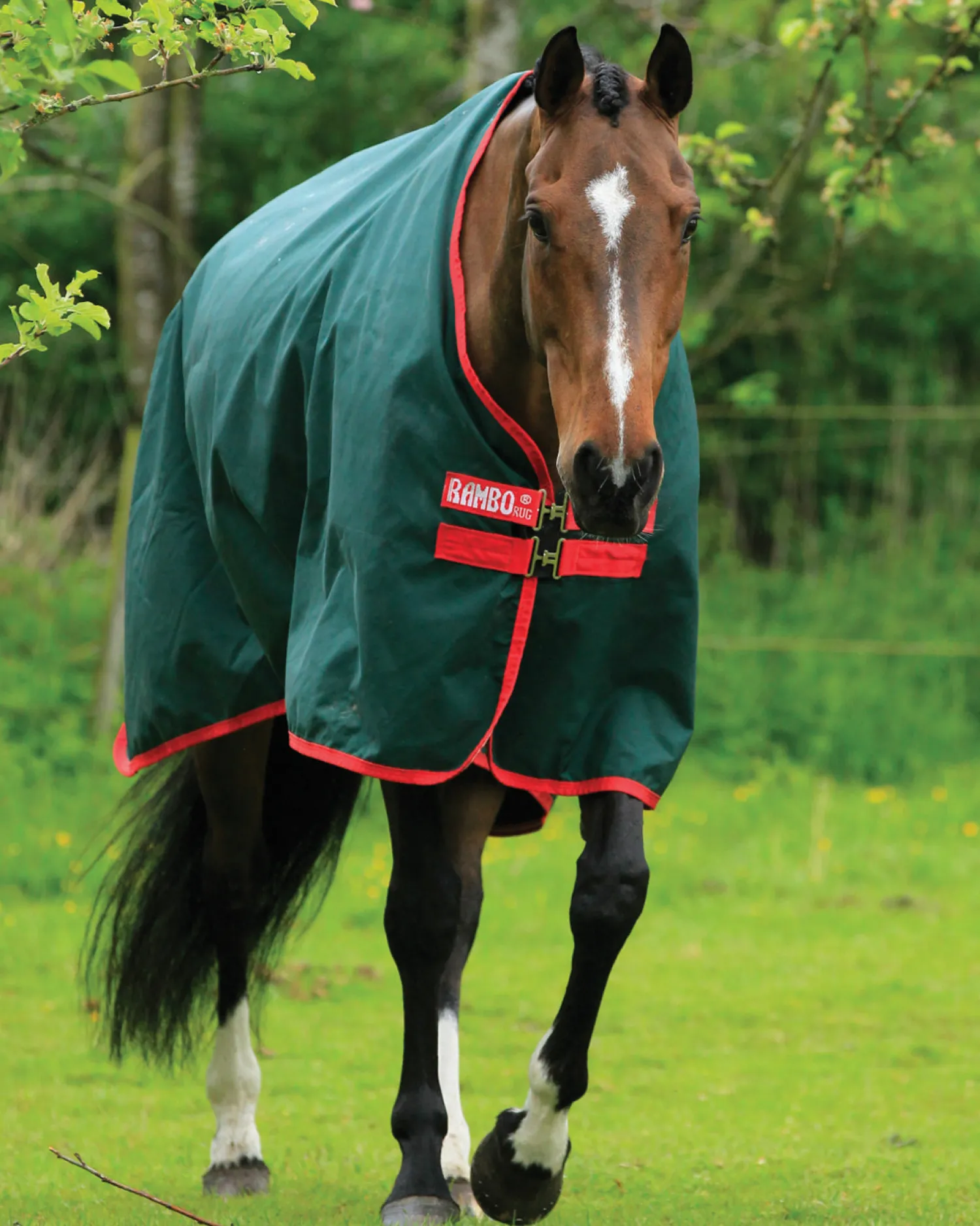 Online HORSEWARE ® Ireland Rambo® Original 1000D Heavyweight Turnout–400G Green/Red