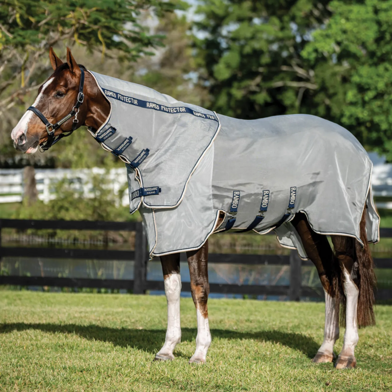 HORSEWARE ® Ireland Rambo® Protector Fieldsafe Plus Silver/Navy/White/Beige