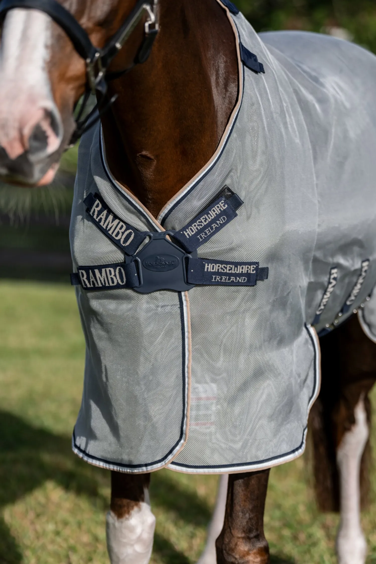 HORSEWARE ® Ireland Rambo® Protector Fieldsafe Plus Silver/Navy/White/Beige