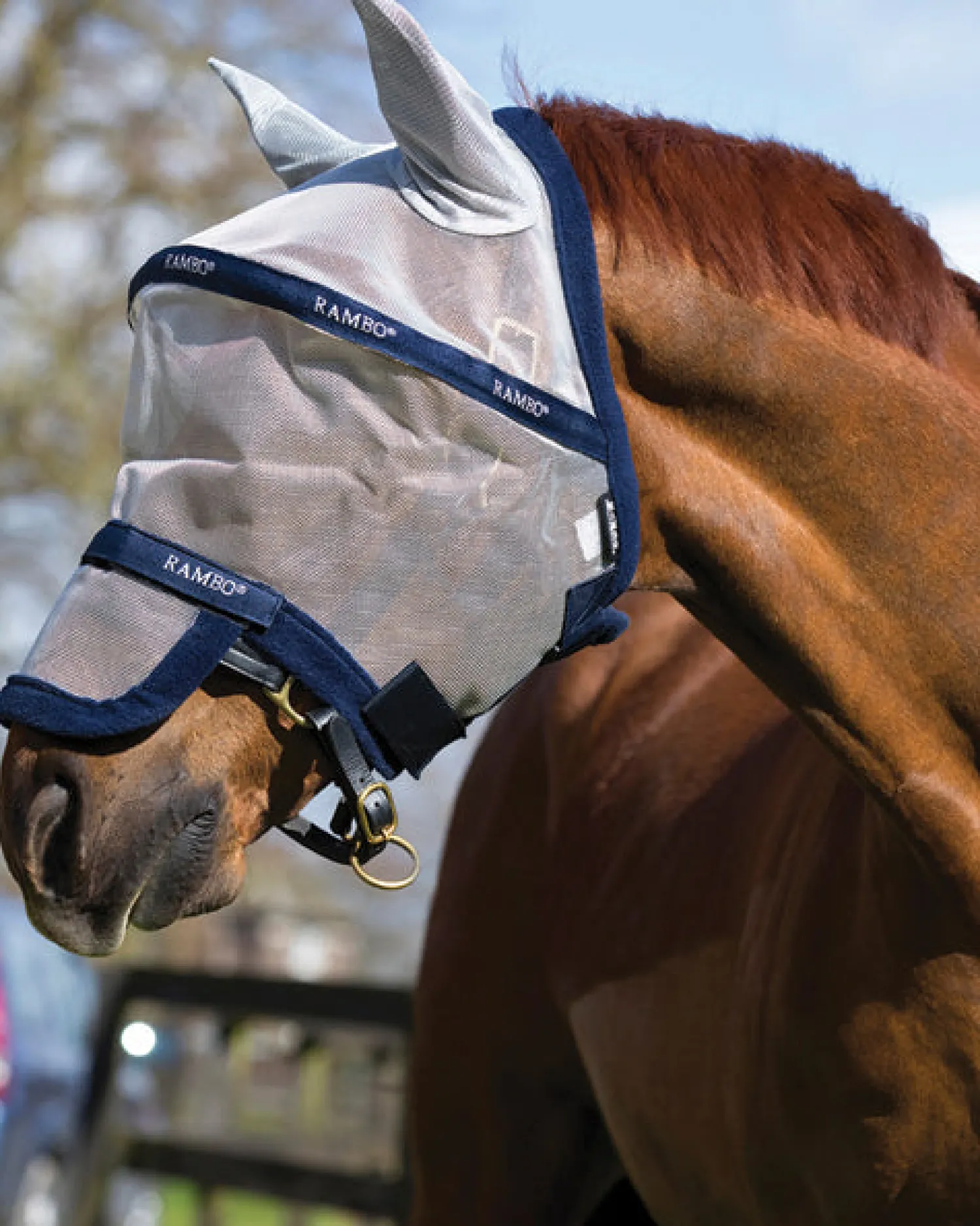 Online HORSEWARE ® Ireland Rambo® Plus Fly Mask
