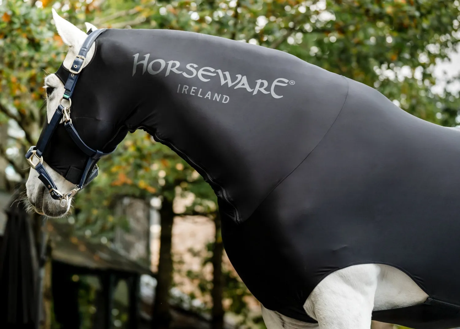 HORSEWARE ® Ireland Rambo® Slinky Hood Black
