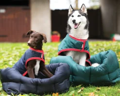 Outlet HORSEWARE ® Ireland Rambo® Waterproof Dog Blanket