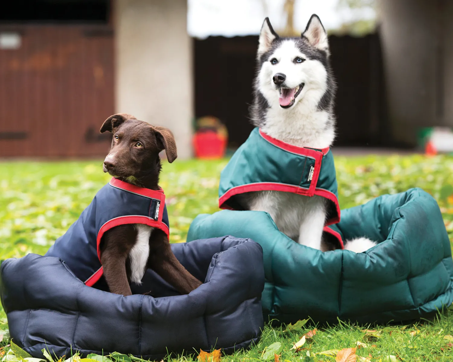 Outlet HORSEWARE ® Ireland Rambo® Waterproof Dog Blanket