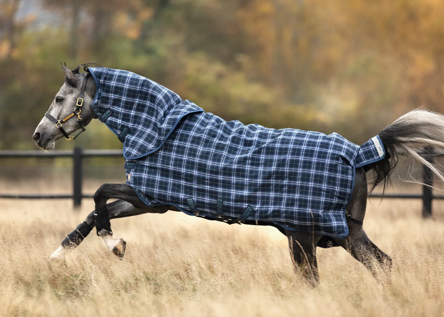 New HORSEWARE ® Ireland Rhino® Plus Heavyweight Blanket with Vari-Layer®