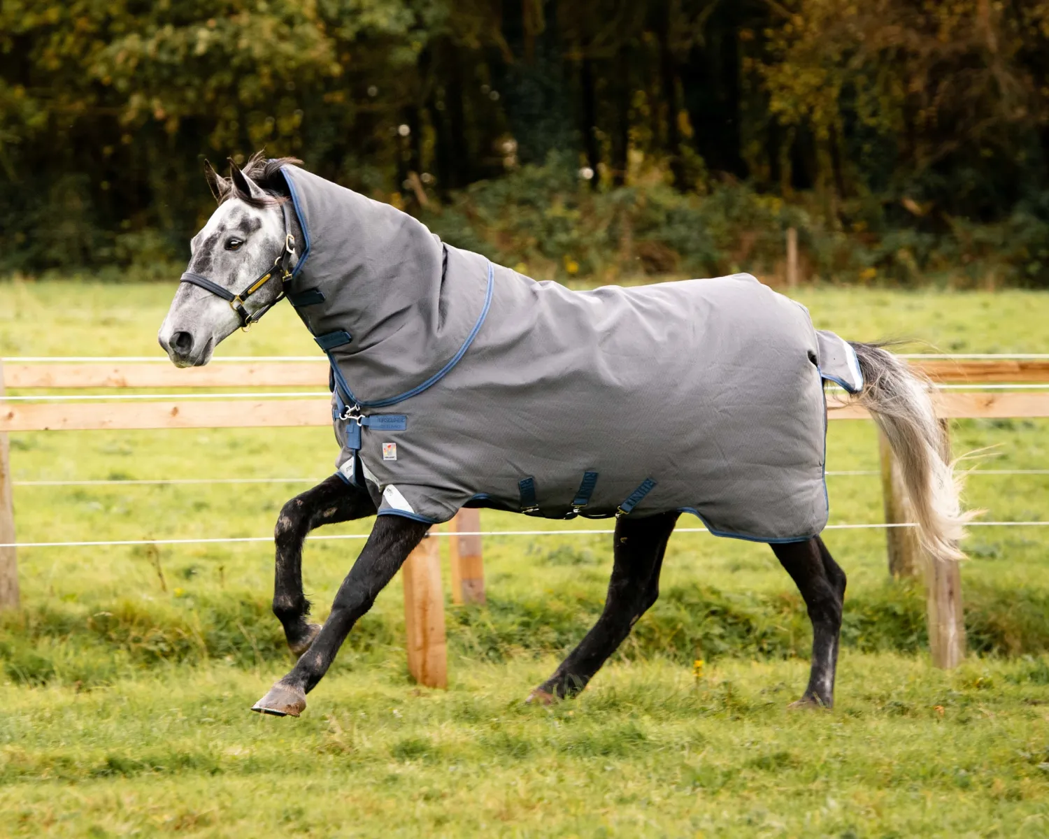 Outlet HORSEWARE ® Ireland Rhino® Plus HexStop Vari-Layer® 250 Gram Medium-Weight Turnout Blanket Grey/Indigo/Navy