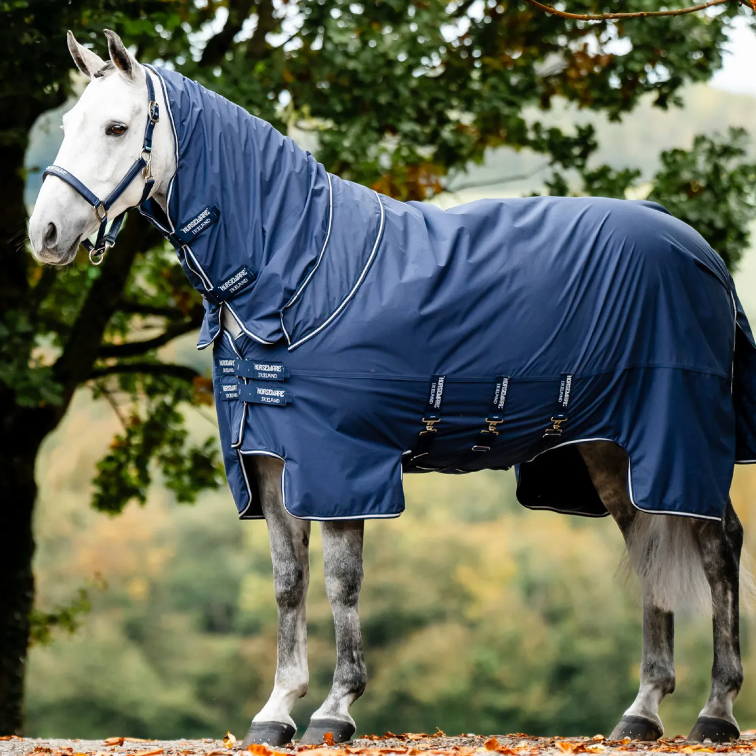 Outlet HORSEWARE ® Ireland Show Ready Rug