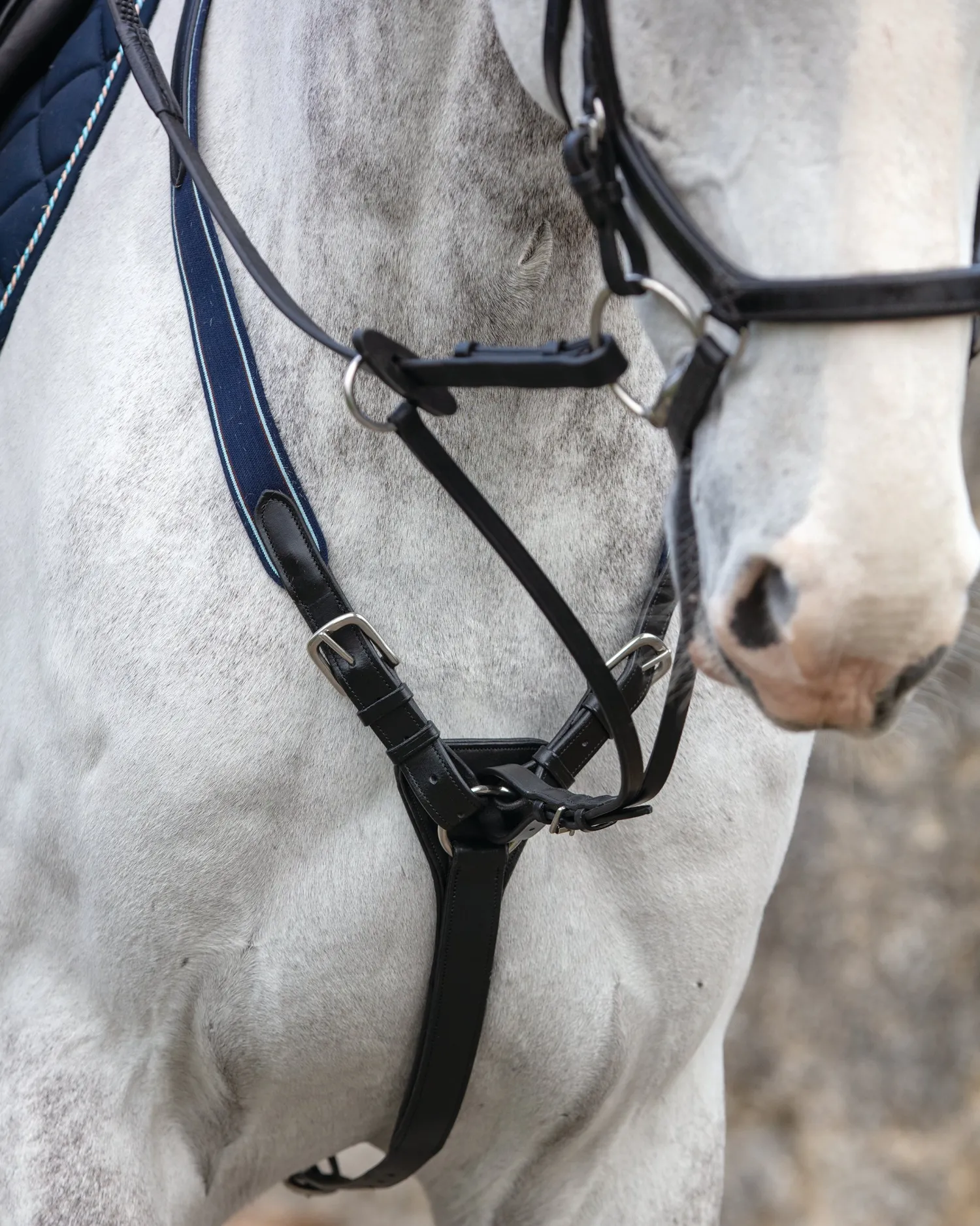 New HORSEWARE ® Rambo® Micklem® Three-Point Breastplate