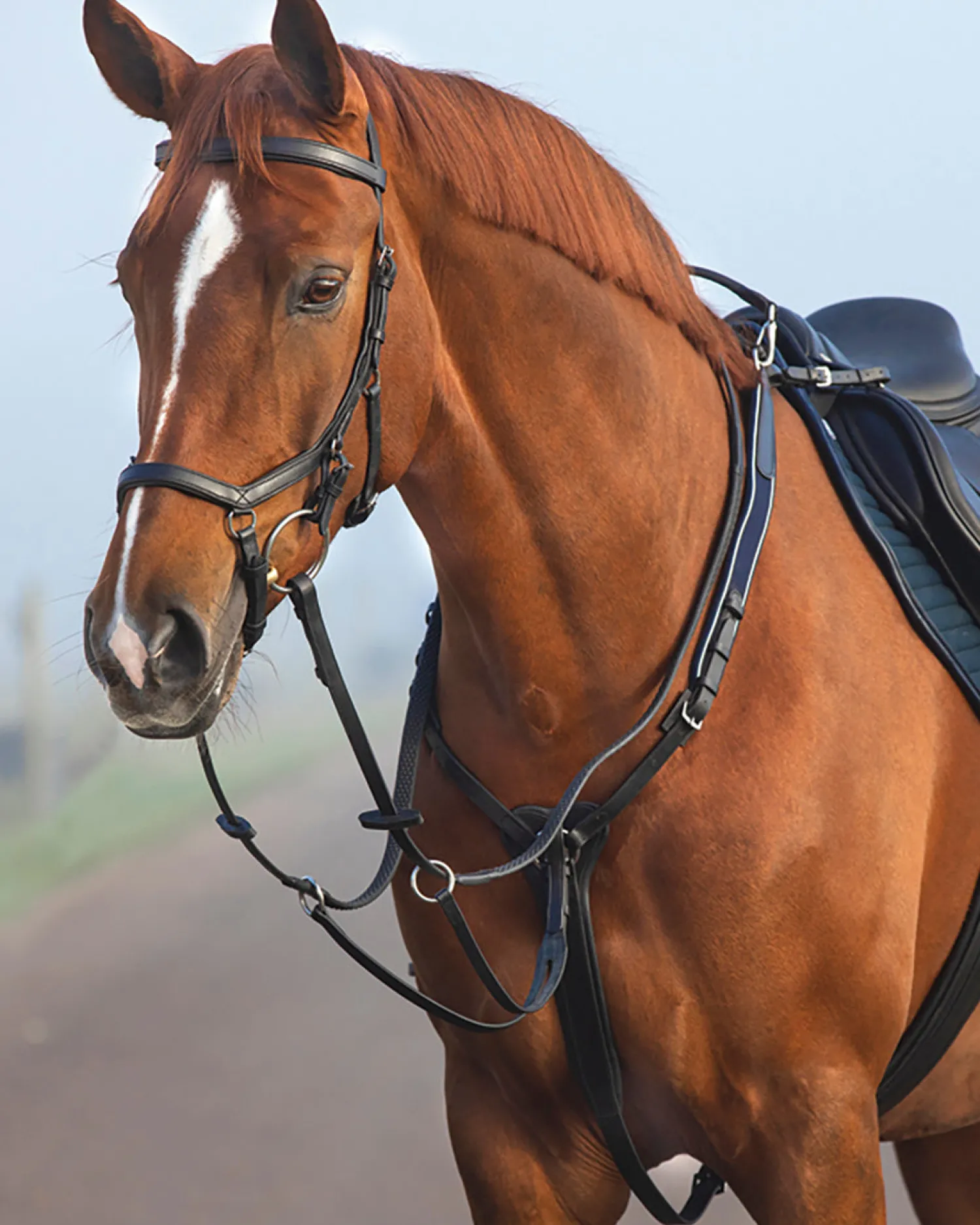 New HORSEWARE ® Rambo® Micklem® Three-Point Breastplate