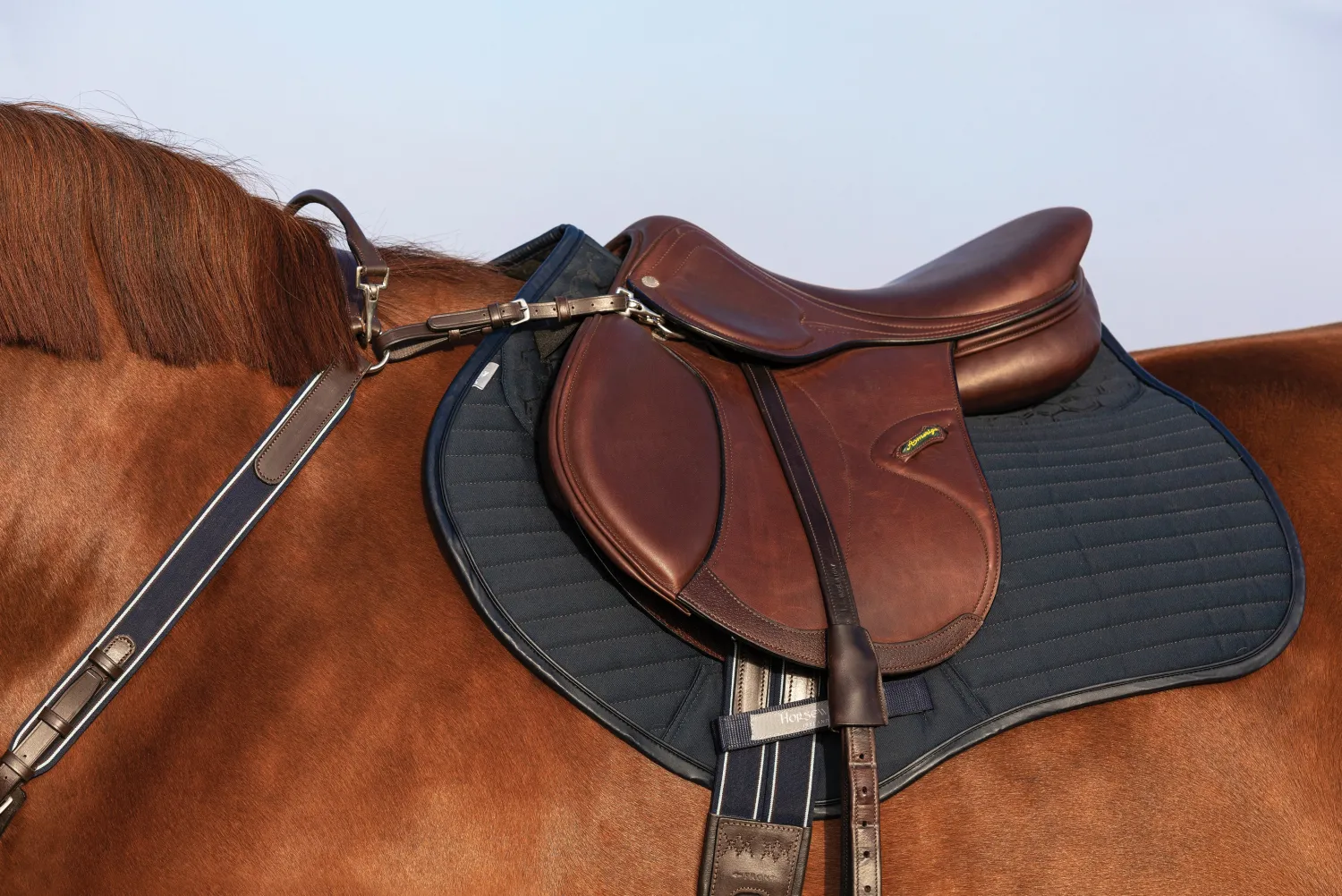 New HORSEWARE ® Rambo® Micklem® Three-Point Breastplate