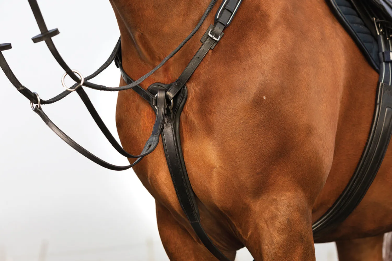 New HORSEWARE ® Rambo® Micklem® Three-Point Breastplate
