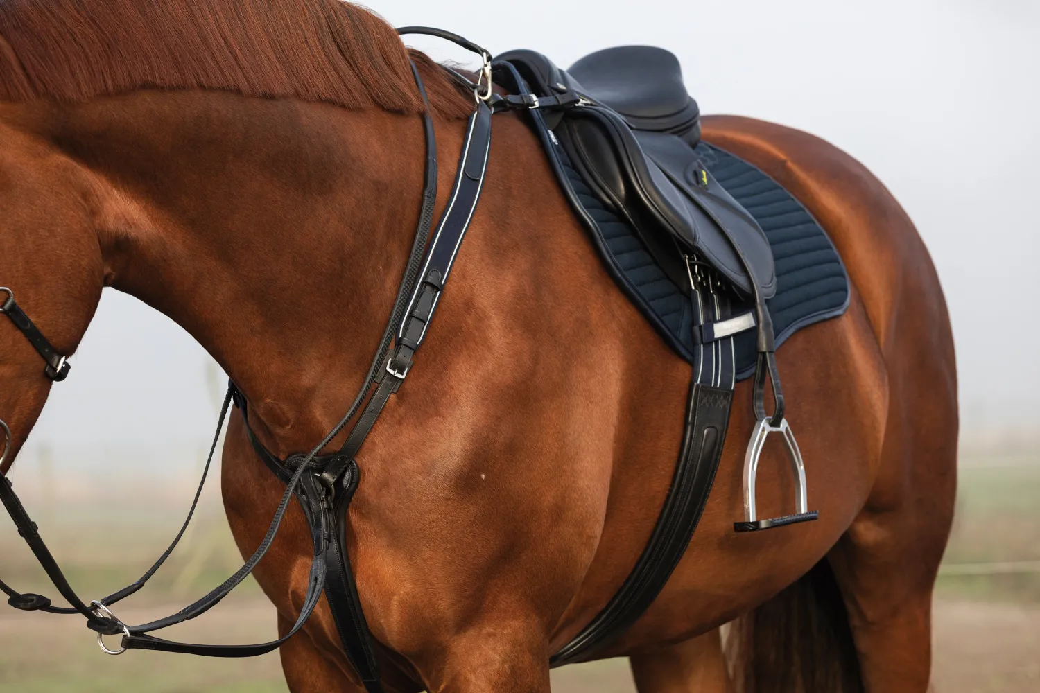 New HORSEWARE ® Rambo® Micklem® Three-Point Breastplate