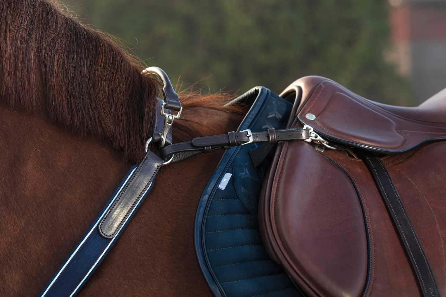 New HORSEWARE ® Rambo® Micklem® Three-Point Breastplate