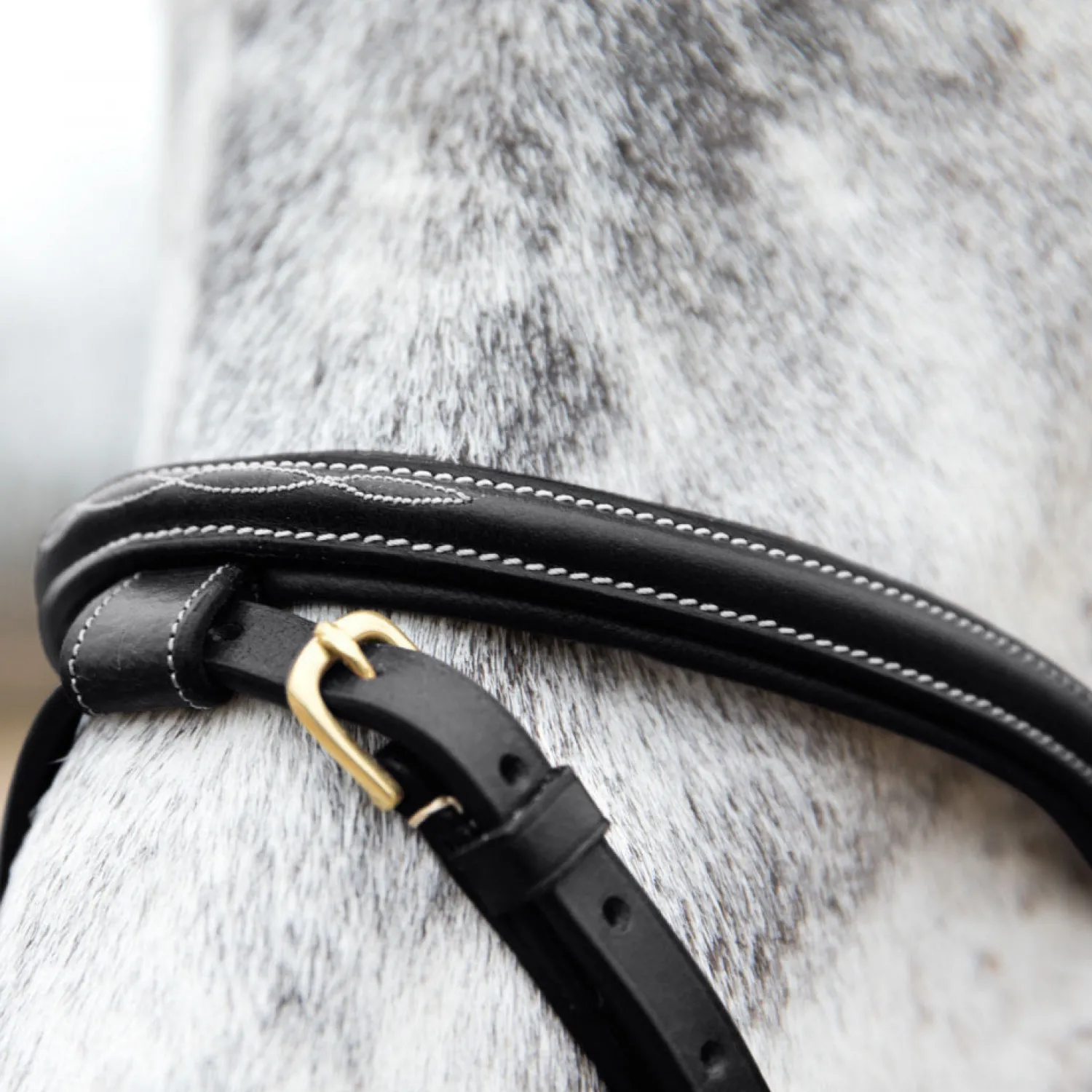 Discount EQUINAVIA Horze Constance Padded Flash Snaffle Bridle