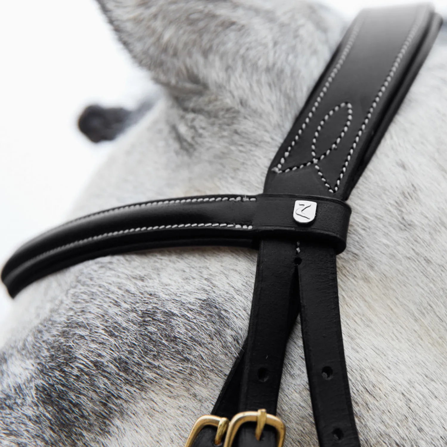 Discount EQUINAVIA Horze Constance Padded Flash Snaffle Bridle