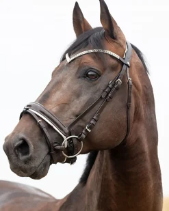 Outlet EQUINAVIA Horze Grayson Snaffle Bridle