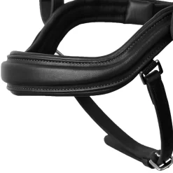 Sale EQUINAVIA Horze Highbury Anatomical Crystal Dressage Bridle