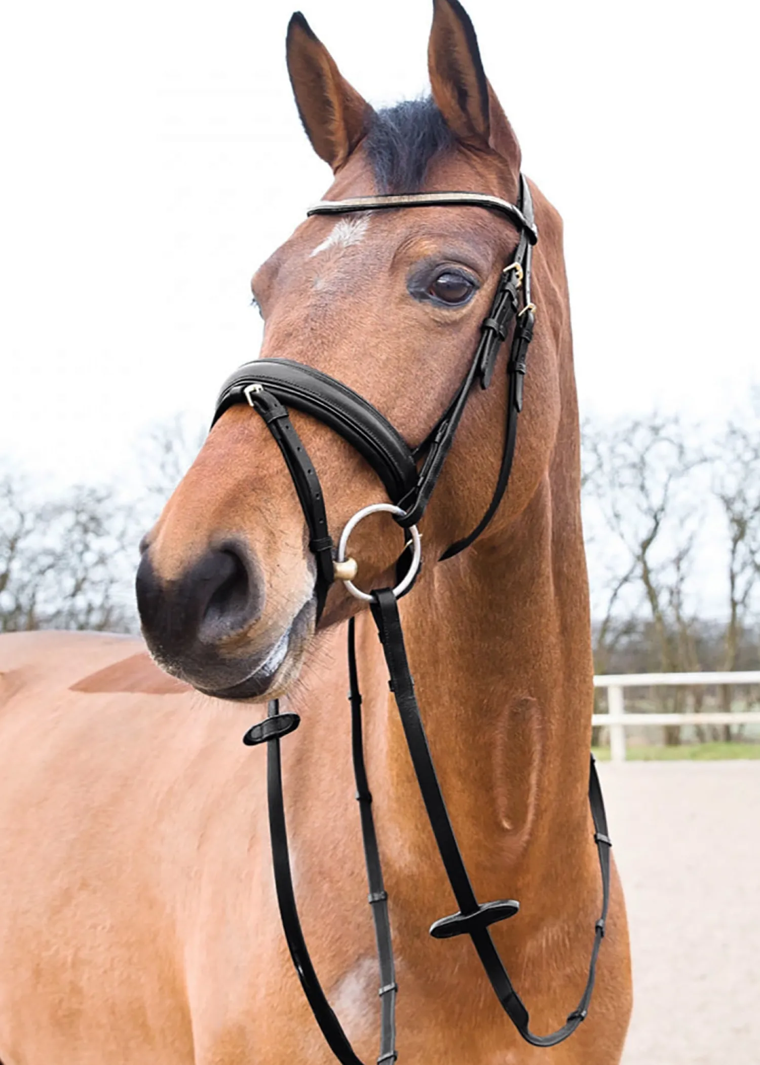 Online EQUINAVIA Horze Lester Snaffle Bridle