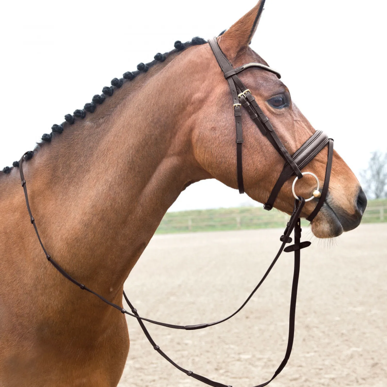 Online EQUINAVIA Horze Lester Snaffle Bridle