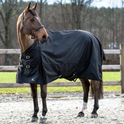 Best EQUINAVIA Horze Nevada 1200D Lightweight Turnout Sheet
