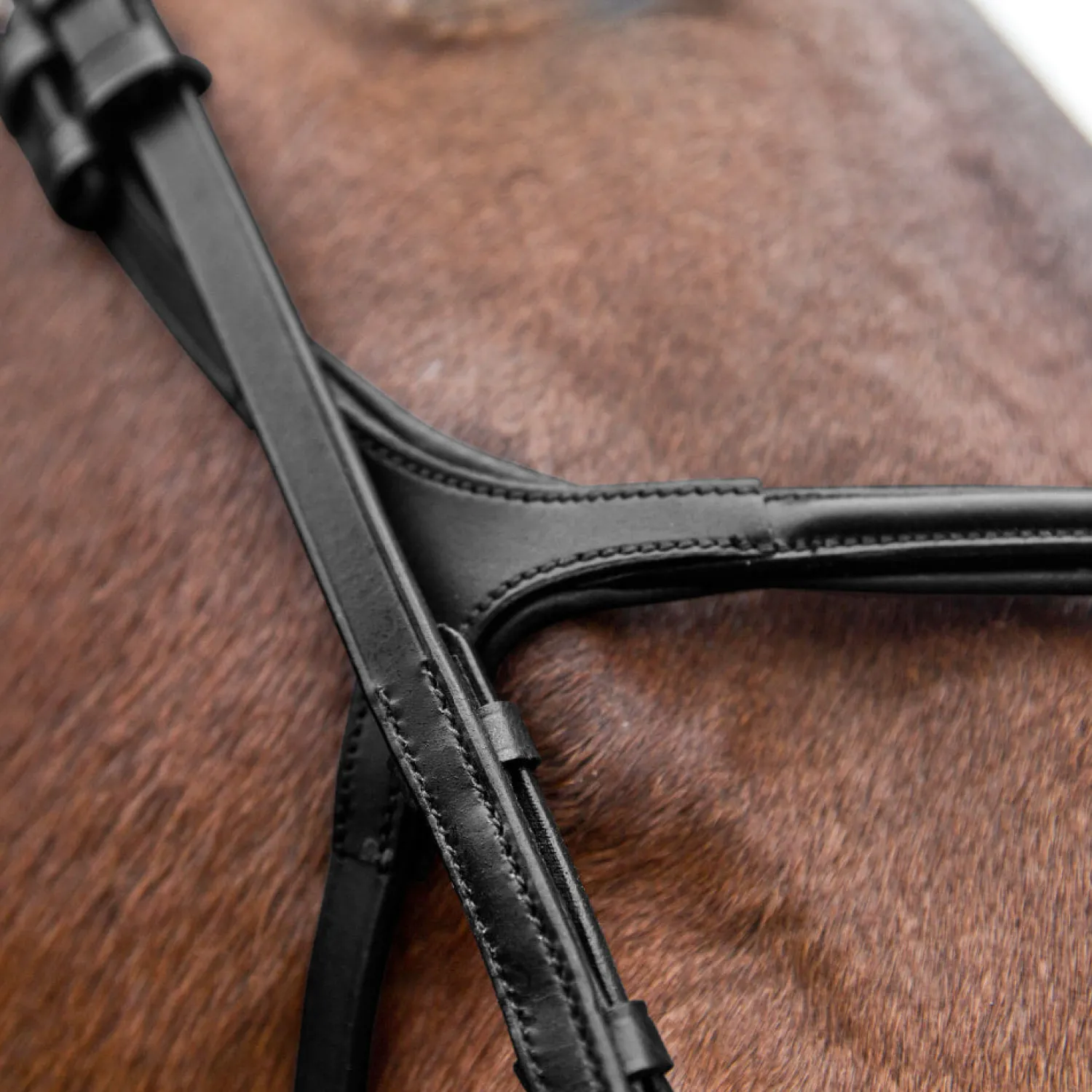 EQUINAVIA Horze Prescott Figure-8 Bridle