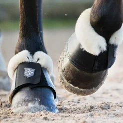 Hot EQUINAVIA Horze Salerno Bell Boots Black