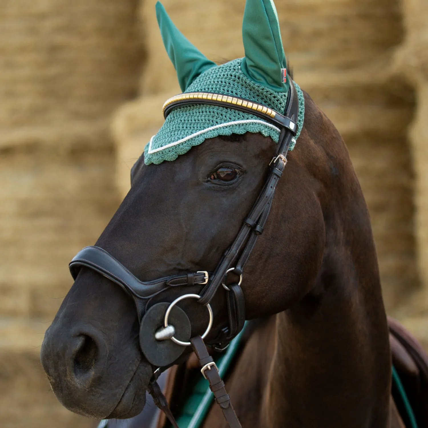 Outlet EQUINAVIA Horze Stewart Bridle
