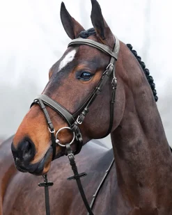 Clearance EQUINAVIA Horze Venice Snaffle Bridle