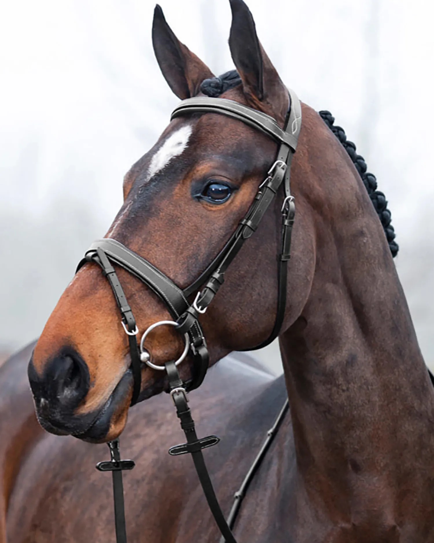 Clearance EQUINAVIA Horze Venice Snaffle Bridle