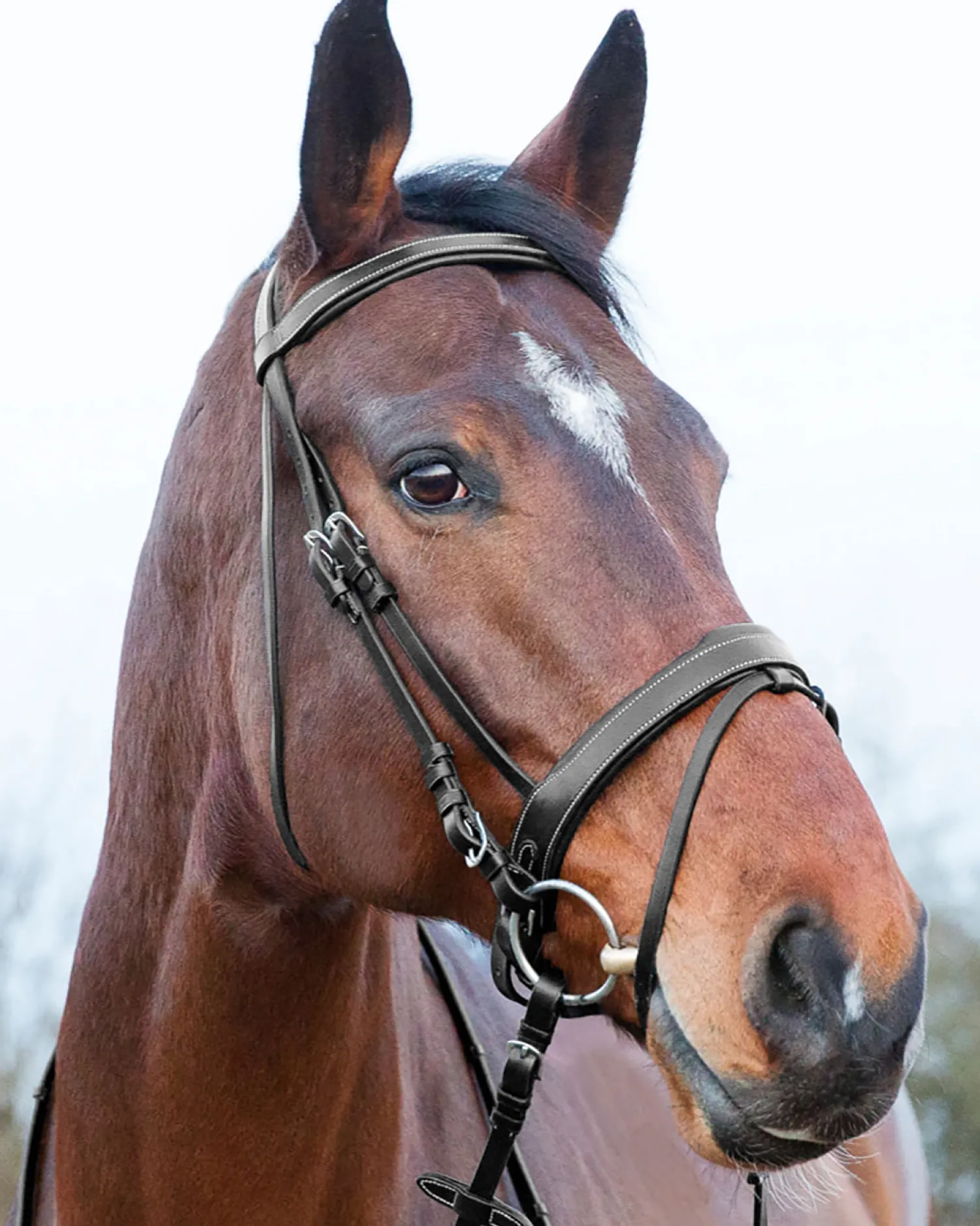 Clearance EQUINAVIA Horze Venice Snaffle Bridle
