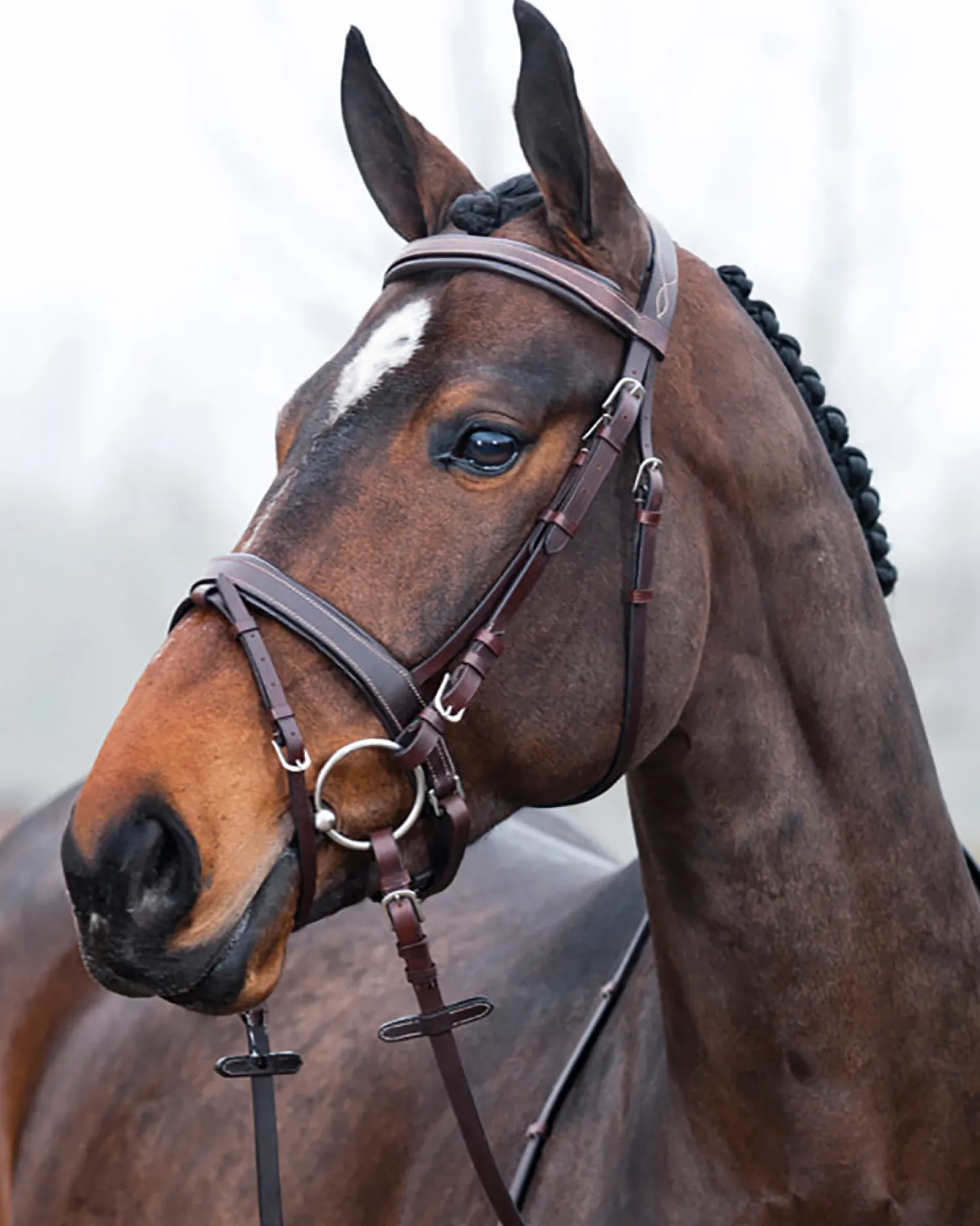 Clearance EQUINAVIA Horze Venice Snaffle Bridle