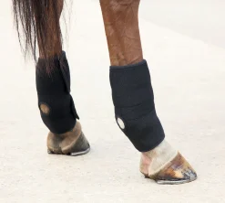 Hot SHIRES EQUESTRIAN Hot/Cold Joint Relief Boots Black