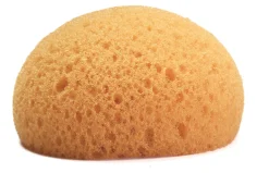 Discount BRADLEY CALDWELL Hydra® Small Synthetic Tack Sponge