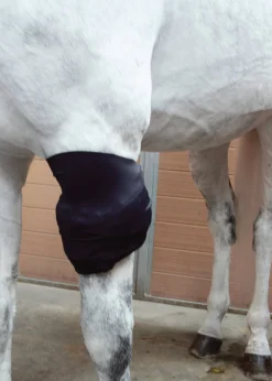 New MACKINNON Ice Horse® All-Purpose Wrap