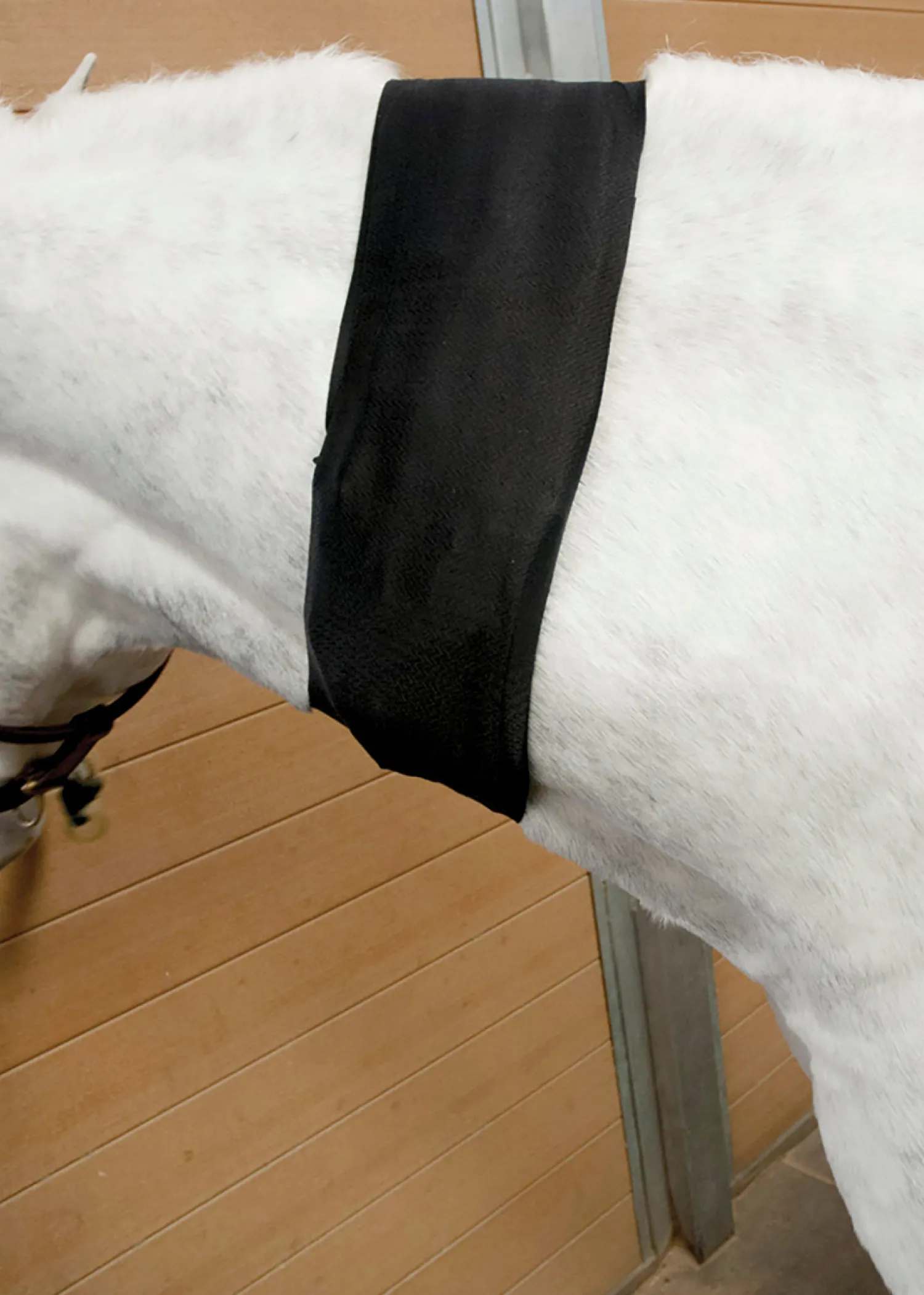 New MACKINNON Ice Horse® All-Purpose Wrap