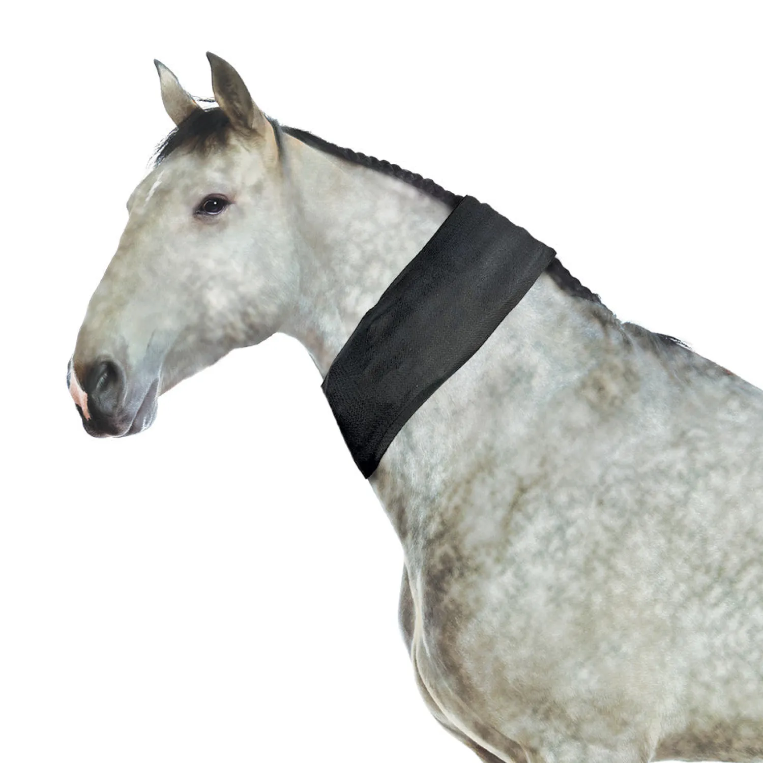 New MACKINNON Ice Horse® All-Purpose Wrap