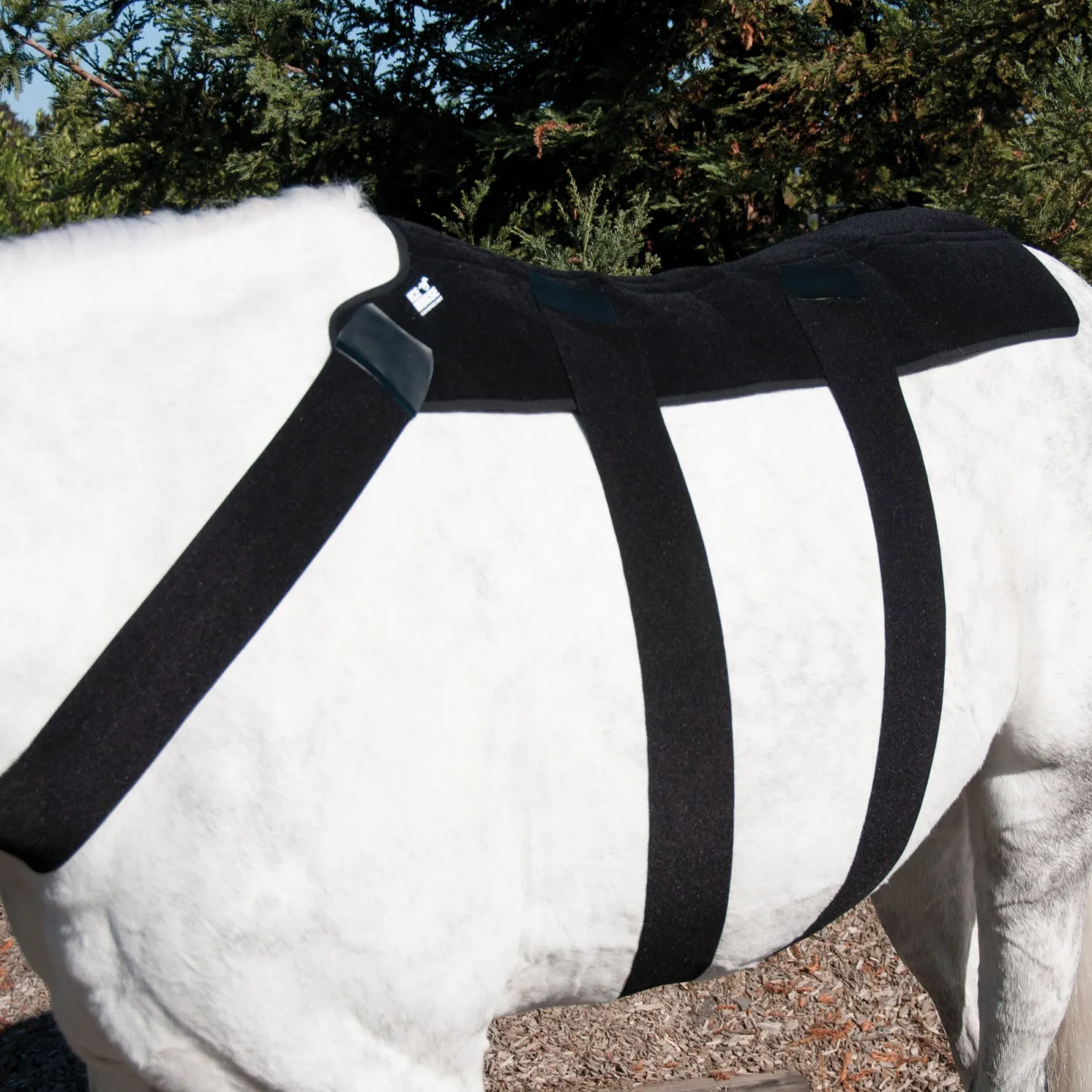 Online MACKINNON Ice Horse® Back Blanket