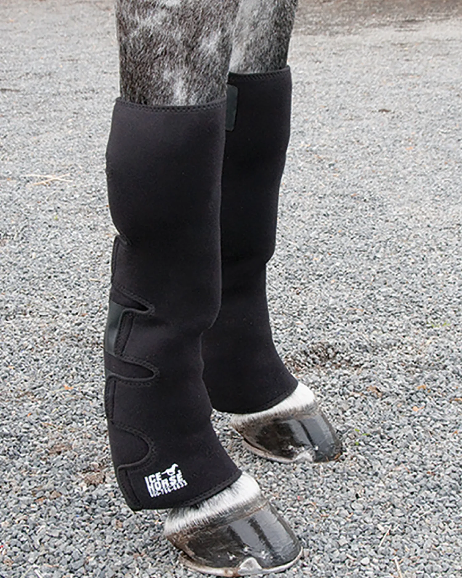Hot MACKINNON Ice Horse® Full Hind Leg Wrap Pair with Suspender Strap