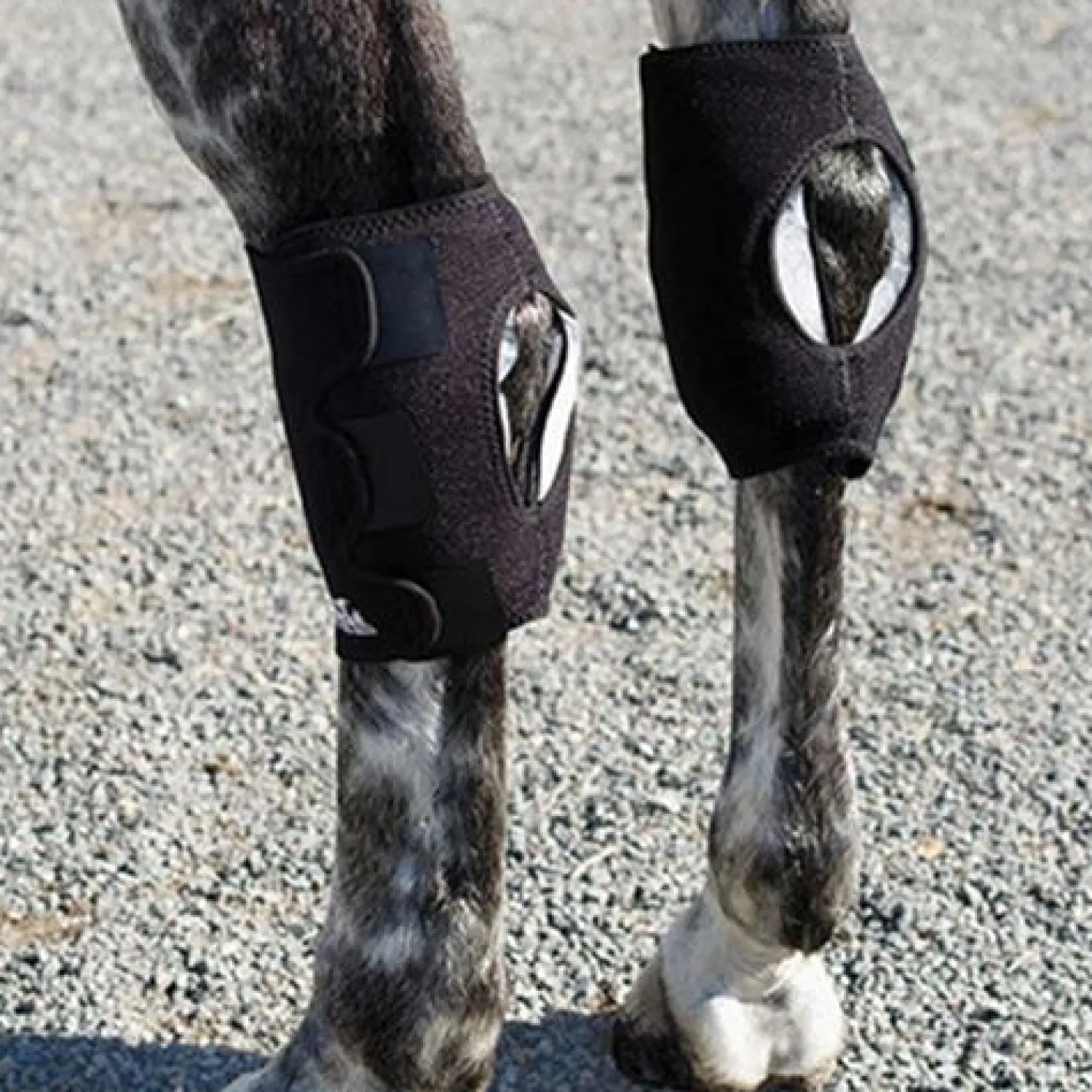 Best MACKINNON Ice Horse® Hock Wrap