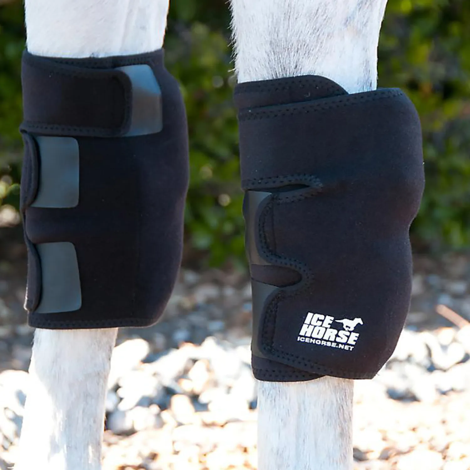 Hot MACKINNON Ice Horse® Knee Wraps - Pair